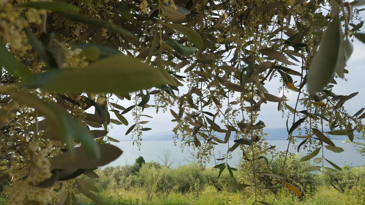 Hotel La Torre Castiglione del Lago Eksteriør billede